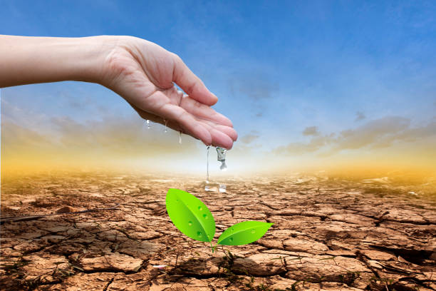 istock Close up hands watering a tree on cracked earth. Protect nature and environment. 1227269506
