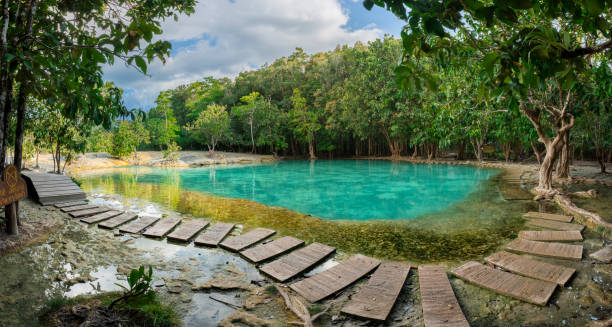 istock Emerald Pool is unseen pool in mangrove forest at Krabi in Thailand. 1227269507
