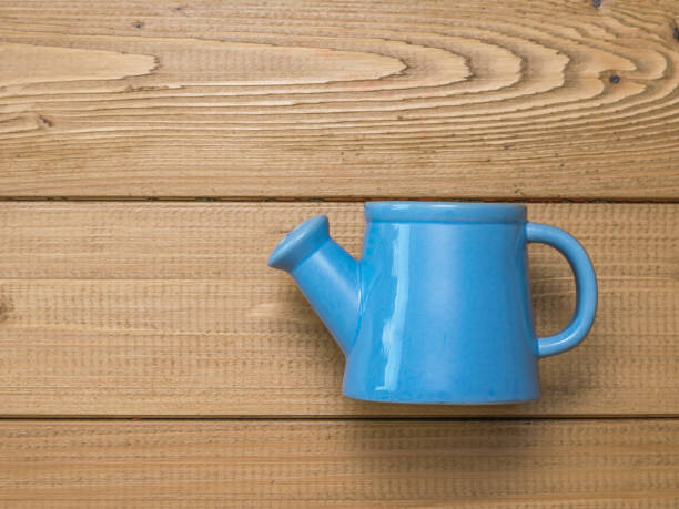 istock Blue watering can for plants on a wooden background. 1227271076