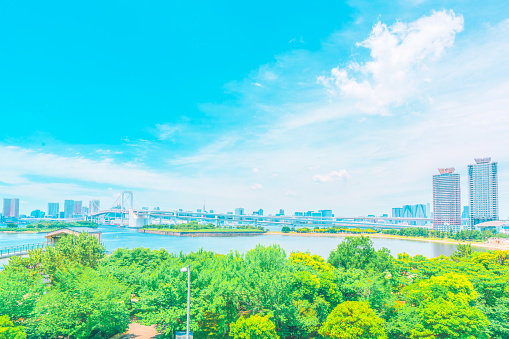 View from park at Tokyo Bay and cityscape