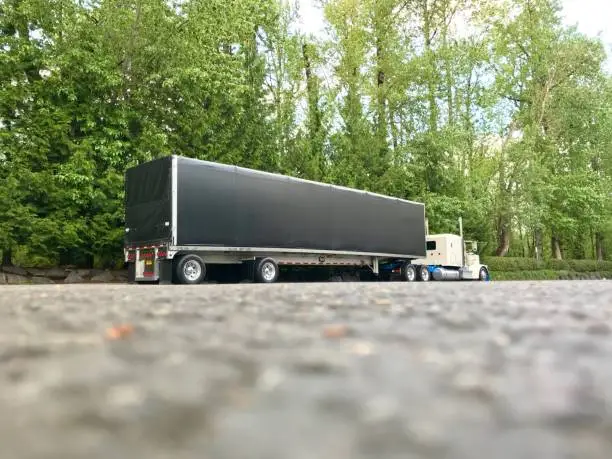 Semi-Truck parked next to tall trees