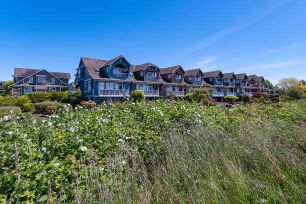 istock Waterfront Homes stock photo 1227278261