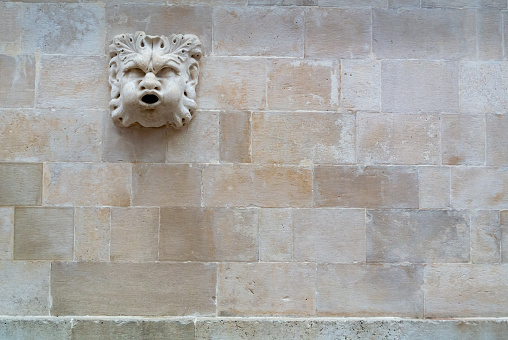 The statue of a lion in the square called Plebiscito in Naples, the capital of the Campania region, Italy.