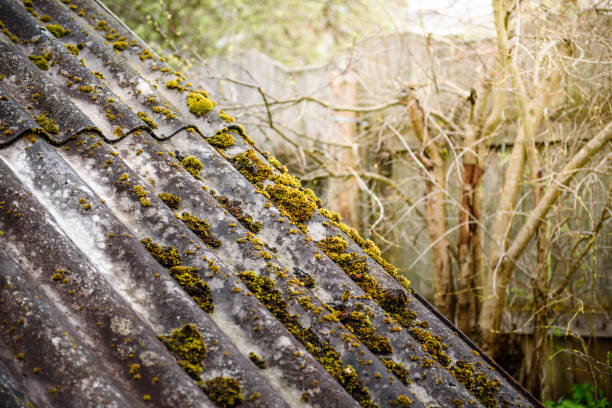 istock Moss on the old roof - a rustic view. 1227287553