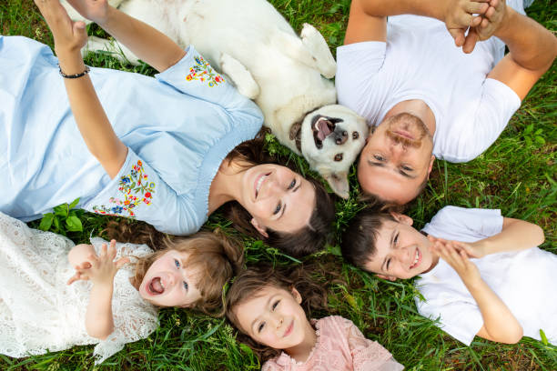 glücklich schöne große familie zusammen mutter, vater, kinder und hund liegen auf dem gras top ansicht - wiese fotos stock-fotos und bilder