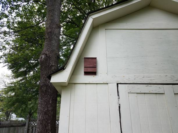 istock brown bat box on white storage shed 1227289378