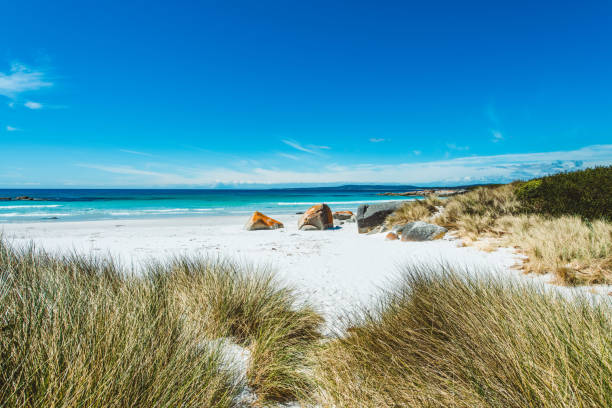 istock Bay of Fires, Tasmania, Australia 1227291932