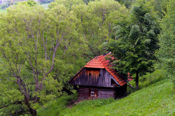 istock Landscape with a wooden house, chalet 1227292092