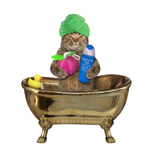 istock Cat with sponge in gold bath 2 1227294671
