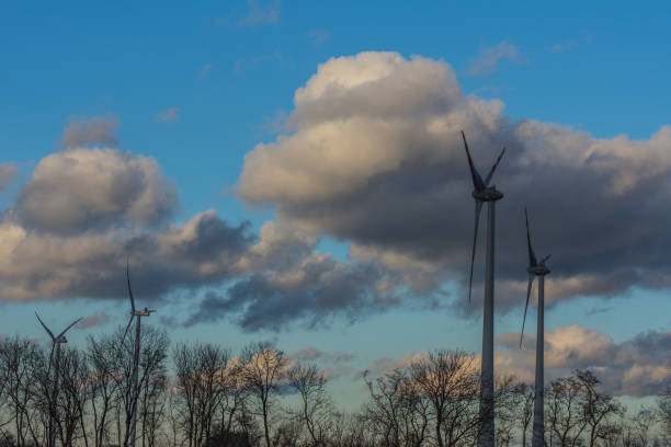 four windraeder in the landscape