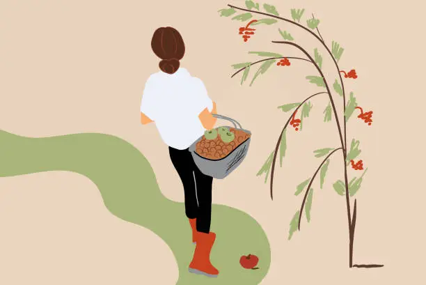 Vector illustration of Woman picking berries outdoors