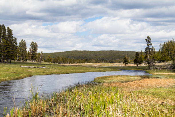 istock Yellowstone on a Cloudy Day 1227300553