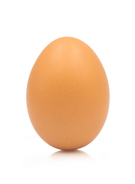 istock One fresh organic uncooked whole chicken egg on white isolated background with clipping path in top view, studio perfect shot. Egg is high protein and calories food, good for health. Raw food concept. 1227301273