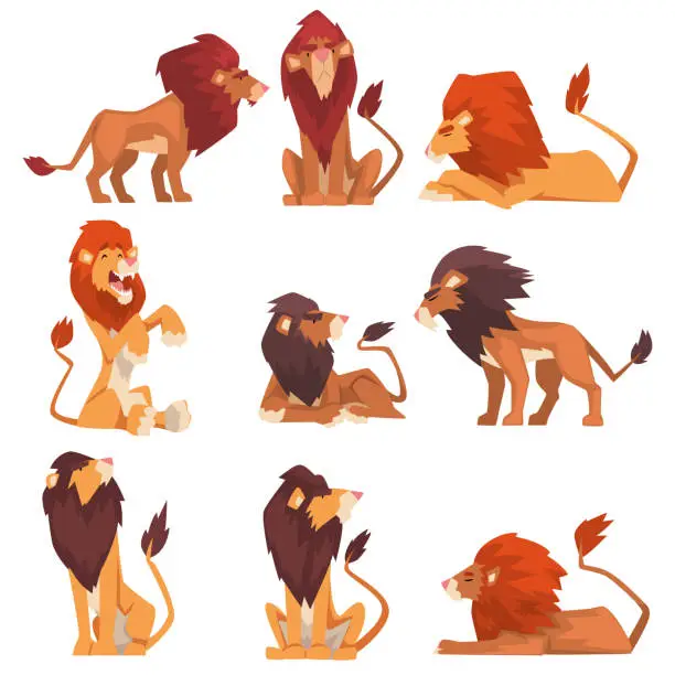 Vector illustration of Powerful Lions Collection, Mammal Wild Cats Jungle Animals Characters in Various Poses Vector Illustration