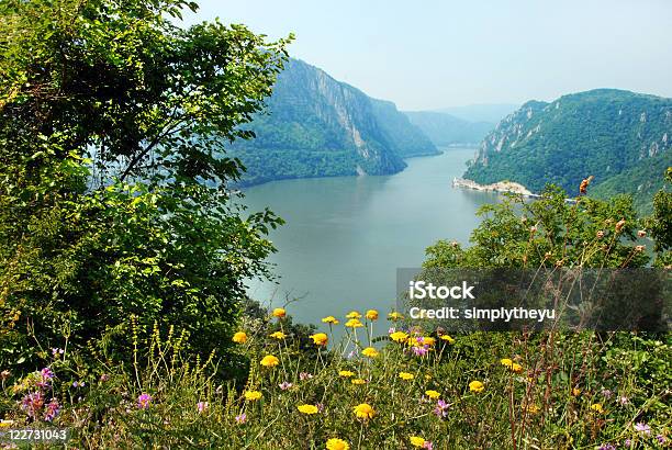 Canyon Del Danubio - Fotografie stock e altre immagini di Acqua - Acqua, Albero, Ambientazione esterna