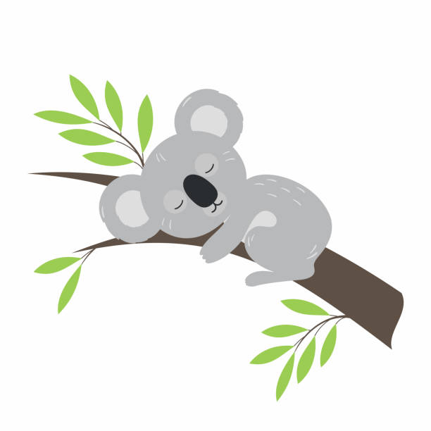Sleeping on a branch of eucalyptus Koala in a flat cartoon style. Sleeping on a branch of eucalyptus Koala in a flat cartoon style. Vector illustration sleeping koala bear stock illustrations
