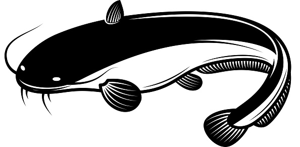 Ilustrasi Ikan Lele Dengan Gaya Ukiran Elemen Desain Untuk Label Tanda