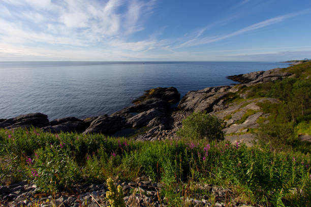 istock Scenery in Lofoten Island, Norway 1227316494