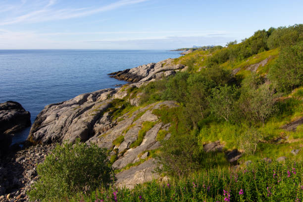 istock Scenery in Lofoten Island, Norway 1227316516