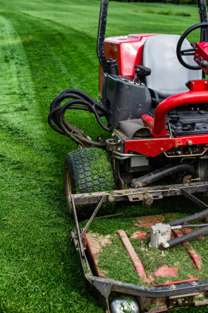 istock Lawn mower on a green golf course 1227318066
