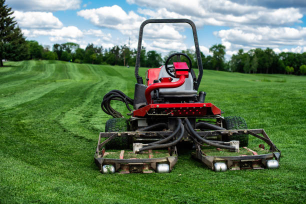 istock Lawn mower on a green golf course 1227318076