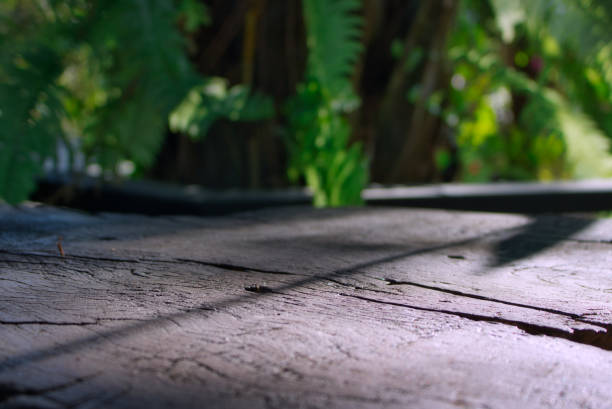 This unique photo shows a natural wood table in the foreground and in the bintergrund blurred you can see the tree trunk with ivy. The picture was taken in Hua Hin.