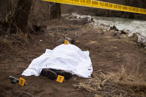 Crime scene by the river Crime scene by the river crime scene stock pictures, royalty-free photos & images