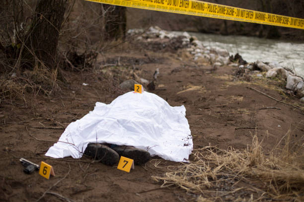 crime scene by the river - crime scene imagens e fotografias de stock