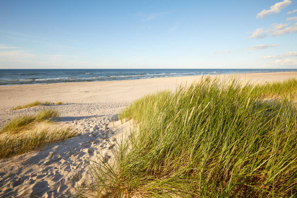istock Leba Baltic sea coast 1227322778