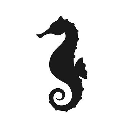 Isolated black silhouette of seahorse on white background. Side view. Silhouette of marine animal. Sea horse