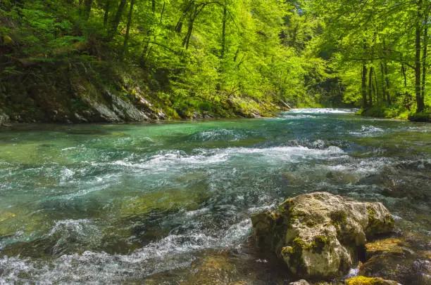 Photo of Fast clear waters of Radovna river in Vintgar Gorge Canyon near Bled, Julian Alps, Slovenia.