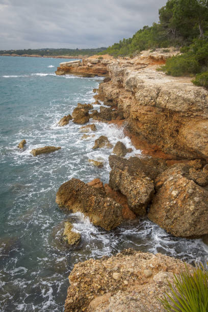istock Cliff sea coast waves with vegetation for holidays 1227327178