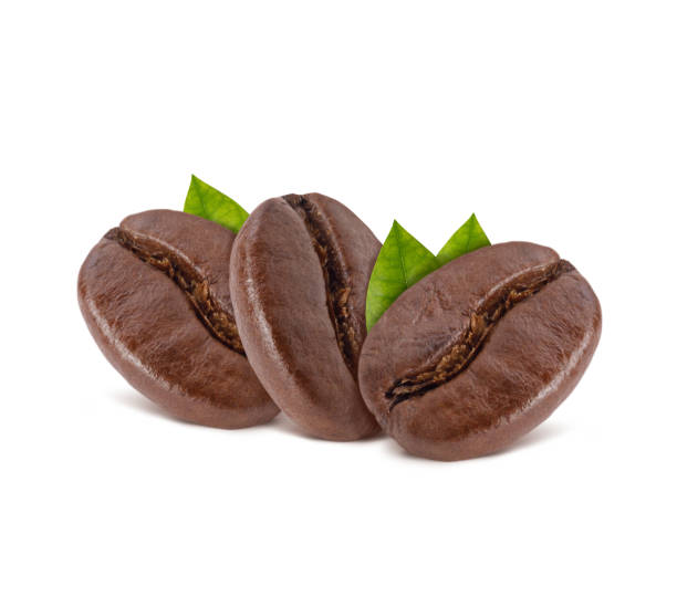 istock Roasted coffee beans with coffee leaves studio shot isolated on white background long banner, Healthy products by organic natural ingredients concept 1227330049
