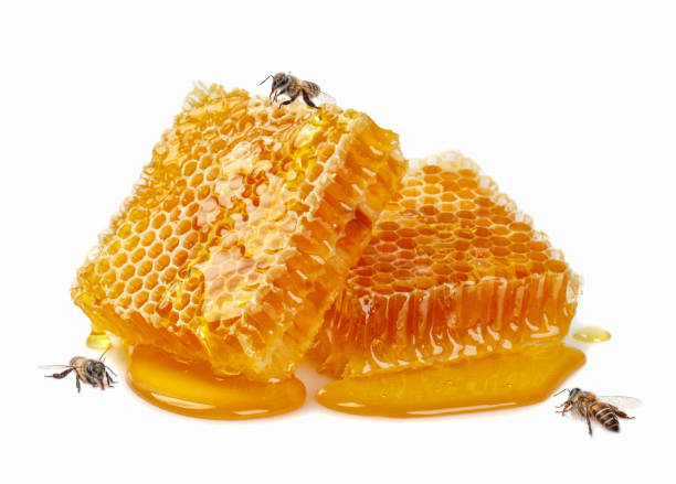 istock Sweet Honeycomb with bee isolate on white background, bee products by organic natural ingredients concept 1227330384