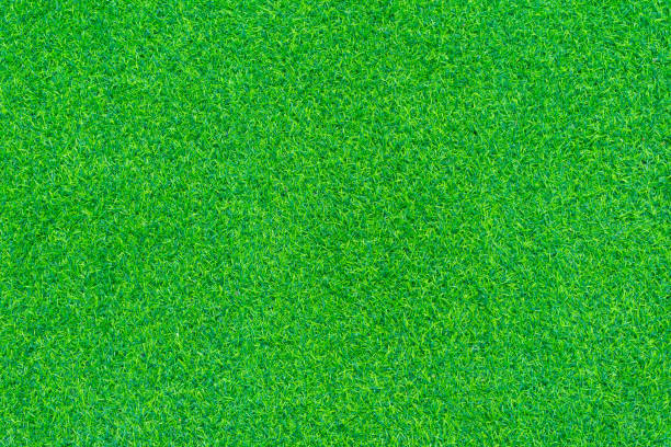istock Top view of Artificial grass texture and background. 1227331560