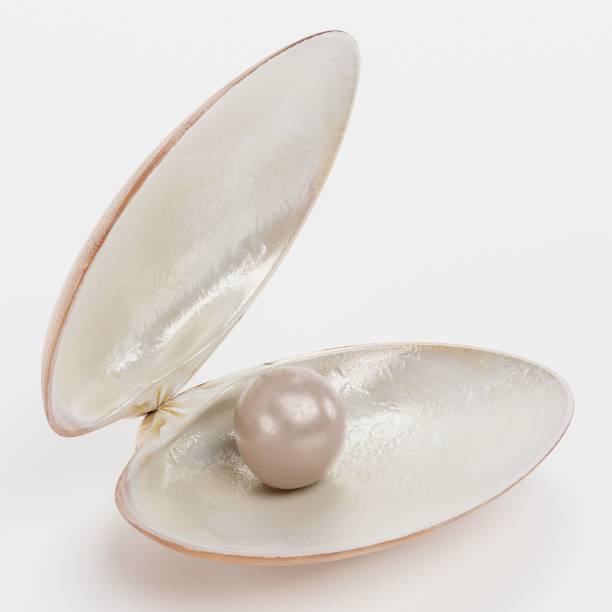istock Realistic 3D render of Clam with Pearl 1227331970