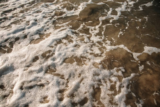 istock Foam texture of sea water at beach 1227332543