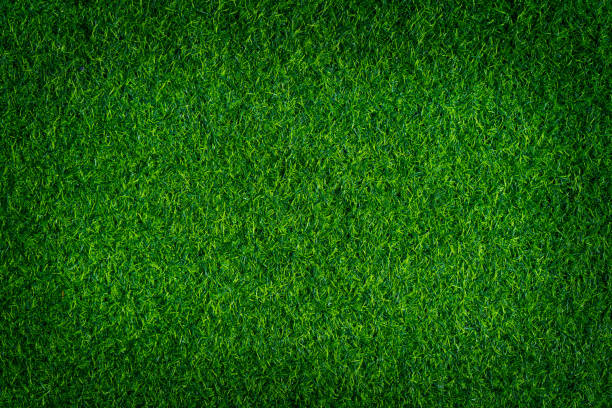 artificial grass texture and background. - photography carpet floor high angle view imagens e fotografias de stock