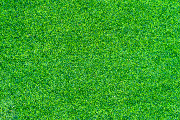istock Top view of Artificial grass texture and background. 1227333464