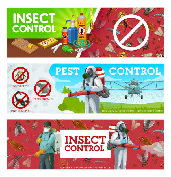 ilustrações de stock, clip art, desenhos animados e ícones de insects pest control, aerial insecticide service - locust invasion