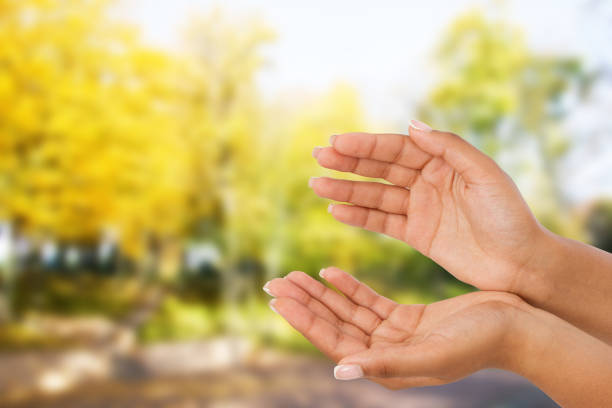 black Woman's hand two palm up. handbreadth isolated on blurred park background. Front view. Mock up. Copy space