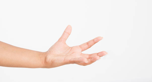istock Open a black woman's hand, palm up isolated on white background.Front view. Mock up. Copy space. Template. Blank. 1227336479