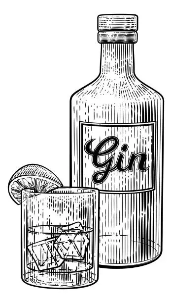 Vector illustration of Gin Cocktail Bottle Glass and Ice Vintage Woodcut
