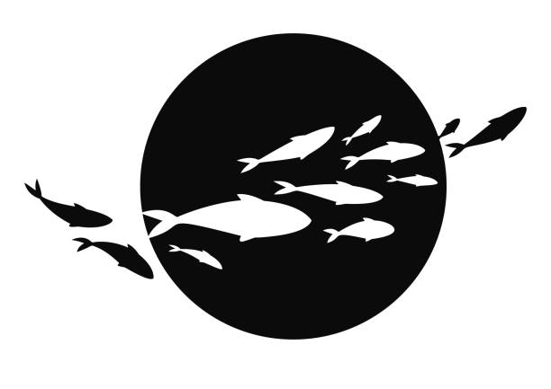 ilustrações de stock, clip art, desenhos animados e ícones de black-white fish banner. fish label. fish logo design  for fish merchant or seafood restaurant. - fish cakes illustrations