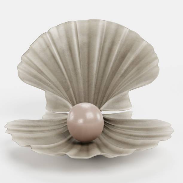 istock Realistic 3D render of Clam with Pearl 1227337548