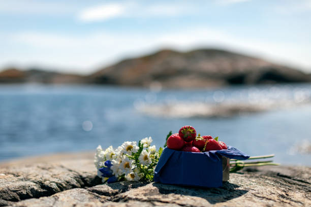 Picnic with strawberries Midsummer picnic out in Gothenburg archipelago. swedish summer stock pictures, royalty-free photos & images