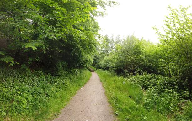 istock panoramic Environment freshness at village with clouds and natural elements around 1227340605