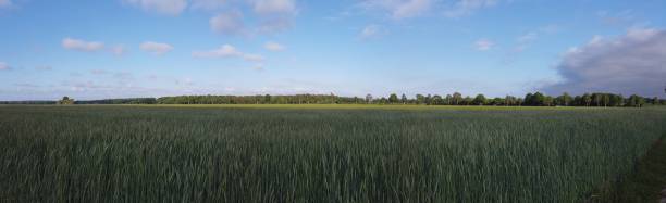 istock panoramic Environment freshness at village with clouds and natural elements around 1227341578
