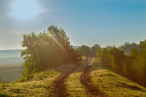 istock beautiful spring landscape with field 1227343244