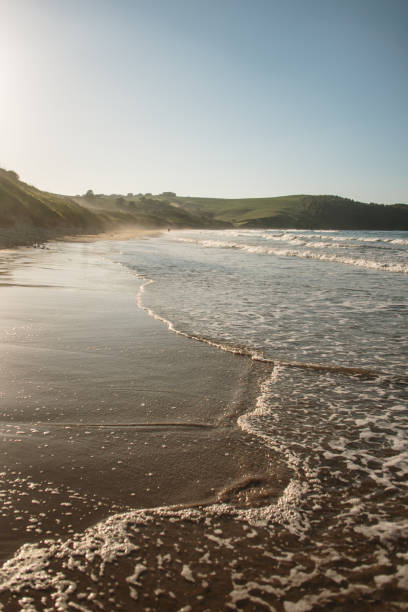 istock Oyambre beach in Cantabria, Spain 1227343289
